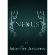 Nexus by Martin Adams